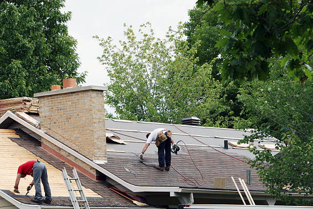 Best Storm Damage Roof Repair  in Shawneetown, IL