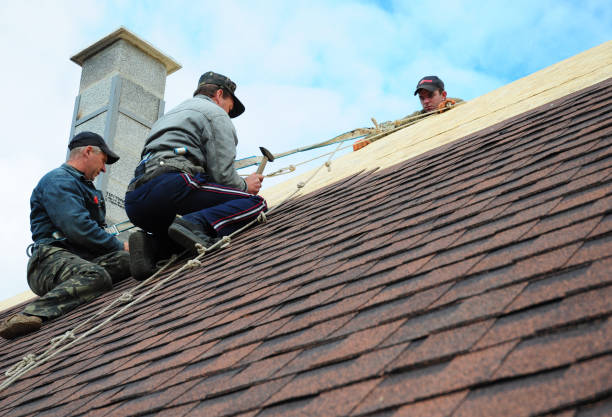 Best Best Roofing Contractors  in Shawneetown, IL