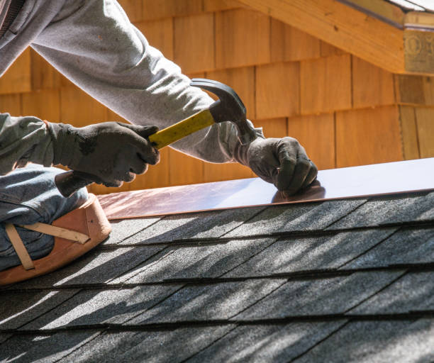 Best Metal Roofing Contractor  in Shawneetown, IL